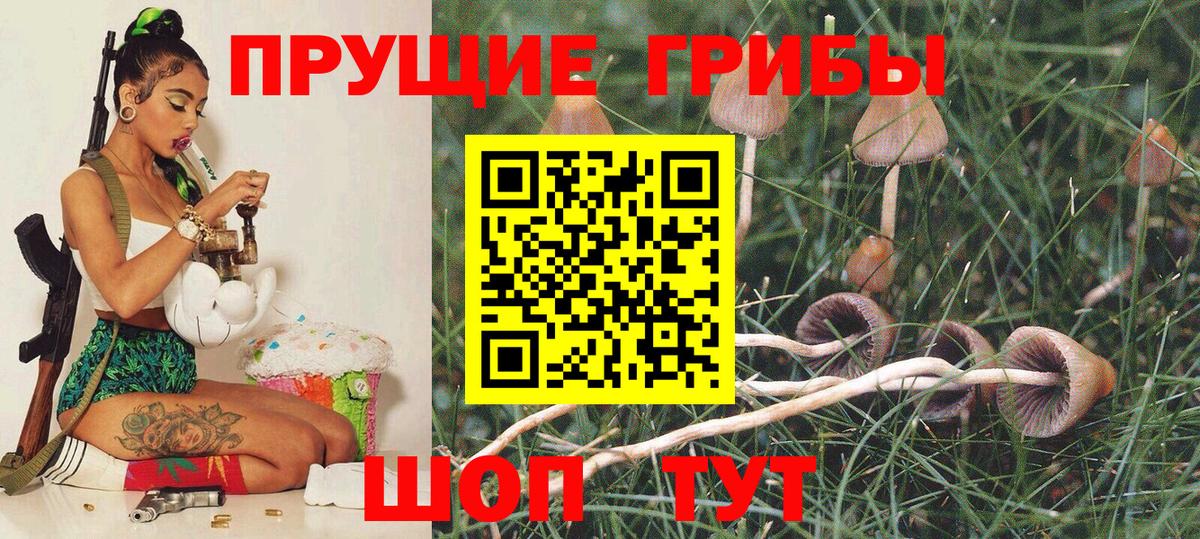 Галлюциногенные грибы ЛСД  Вход с VPN  Галлюциногенные грибы мухоморы  Сызрань 